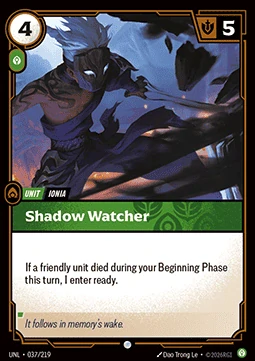 Shadow Watcher