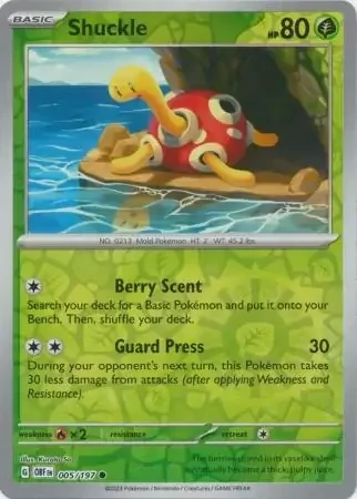 Shuckle (OBF 005) - REVERSE HOLO