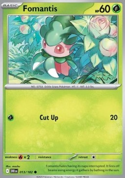 Fomantis (DRI 013)