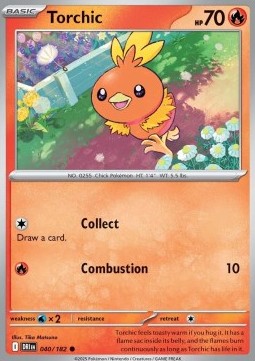 Torchic (DRI 040)