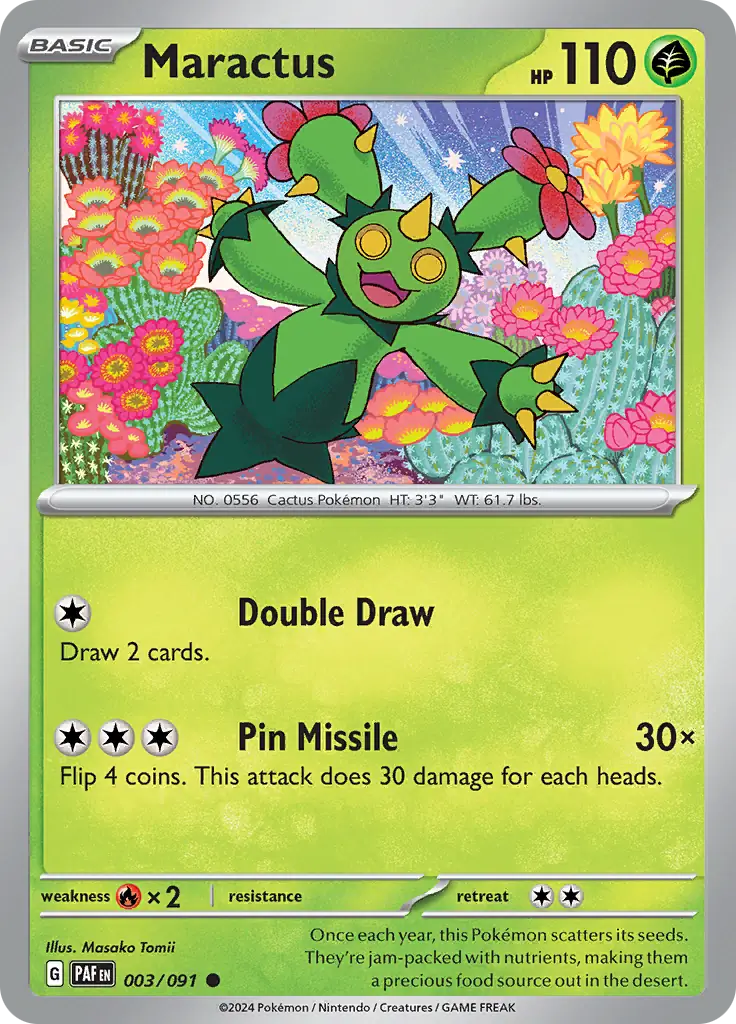 Maractus (PAF 003)