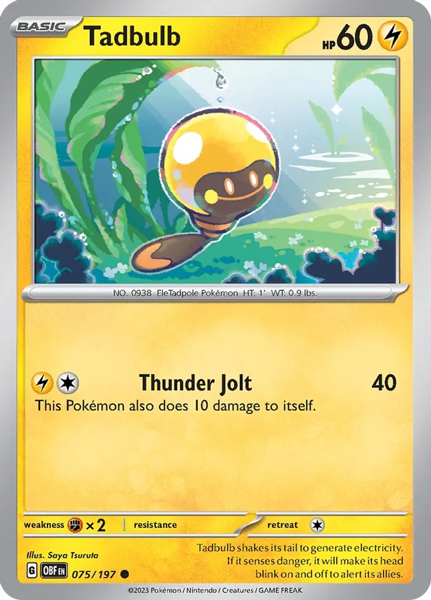 Tadbulb (OBF 075)