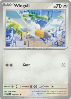 Wingull (PAL 158)