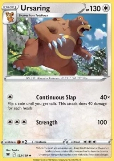 Ursaring (ASR 123)