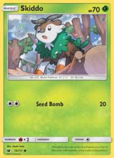 Skiddo (CIN 10)