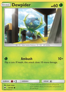 Dewpider (BUS 14)