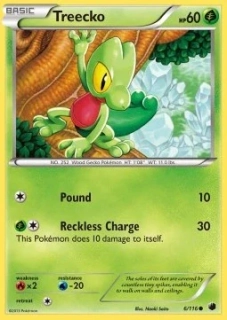 Treecko (PLF 6) - GOOD