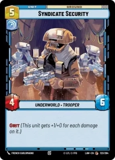 Syndicate Security