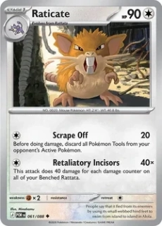Raticate (POR 061) - REVERSE HOLO