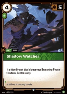 Shadow Watcher