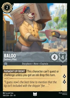 Baloo - Delivery Pilot