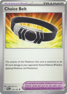 Choice Belt (PAL 176)