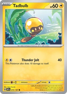 Tadbulb (OBF 075)