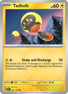 Tadbulb (OBF 076)