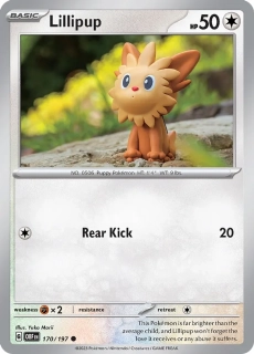Lillipup (OBF 170)
