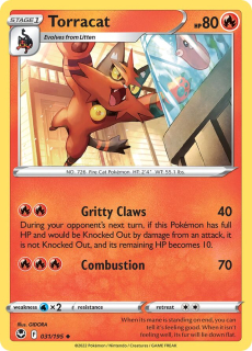 Torracat (SIT 031)