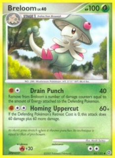Breloom Lv.40 (SW 45) - PLAYED